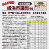 「こんにちは横浜市議団です」09.01号