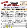 「こんにちは横浜市議団です」1.11号