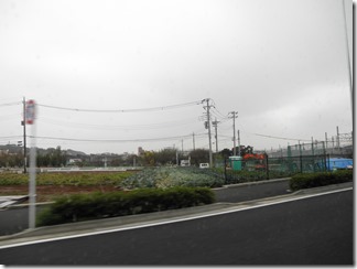 川和町の野菜畑。