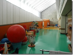 上菅田特別支援学校：さまざまな大きさのボールや運動具などが置かれたプレイホール。